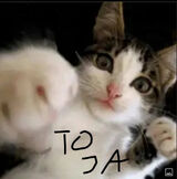 Foto utilizatorului Dan1919