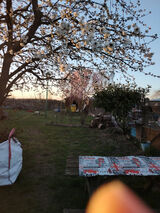 Фотография пользователя ramzej74