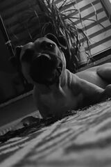 Foto pengguna Cozatyp