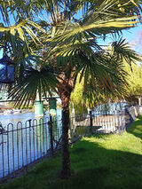 Zdjęcie użytkownika incognito4everr