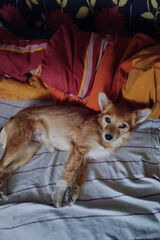 Zdjęcie użytkownika Noszczyk