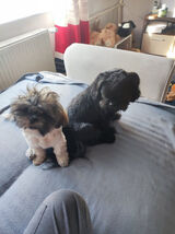 Zdjęcie użytkownika lukasz198628