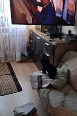 Zdjęcie użytkownika cher1909