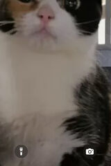 Foto utilizatorului Dana1955