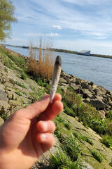 Zdjęcie użytkownika jsdgch7