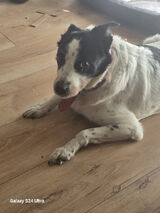 Benutzerfoto tomaszrakowski17