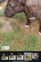 Foto pengguna cyganjoda