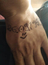 Photos Kotkotwojciech