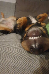 Фотография пользователя Anulkar4