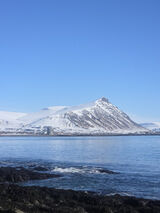 Foto utilizatorului Alsen1234