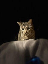 Zdjęcie użytkownika CyprianD999