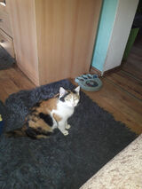 Zdjęcie użytkownika haluchbarbara