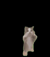 Фото користувача LesterMolester