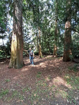 Фотография пользователя MatiZu