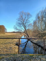 Zdjęcie użytkownika JaskiewiczK