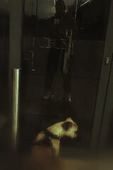 Zdjęcie użytkownika Cozatyp