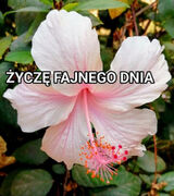 Zdjęcie użytkownika dianazzz1989