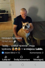 Photos ireneuszzastawny71