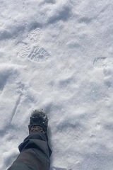 Фото користувача FRysM