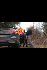 Zdjęcie użytkownika mobilnyxx