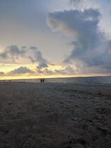 Foto utilizatorului Fagioli