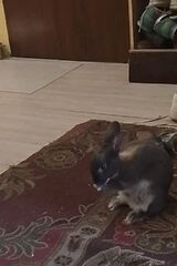 Zdjęcie użytkownika kopyscpiotr332