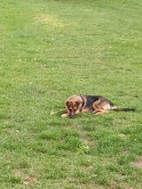 Photos nieznajomynieznany