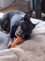 Photos ktospodpalil25