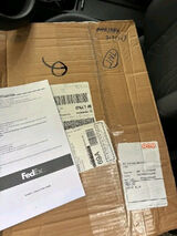 Benutzerfoto alligator