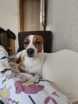 Zdjęcie użytkownika u9470271392