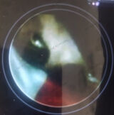 Zdjęcie użytkownika freedomworldforr17