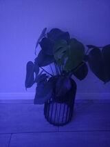 Zdjęcie użytkownika beata1977r