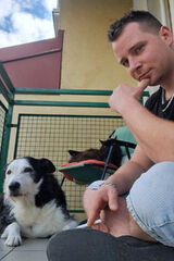 Foto utilizatorului eheszki