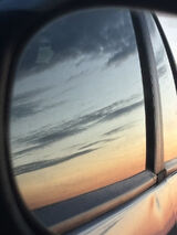 Foto utilizatorului oola254764