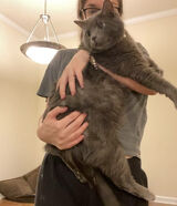 Foto pengguna lindakatepeter643