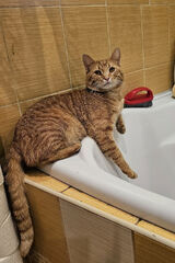 Zdjęcie użytkownika VenusAimee3