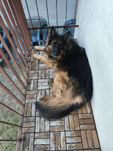 Benutzerfoto busstationdworze58