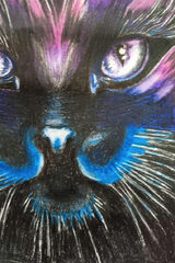 Zdjęcie użytkownika m62679626