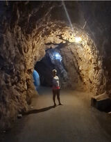 Fotos KwiatyOleandry