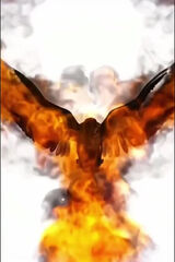 Foto utilizatorului u9317529334