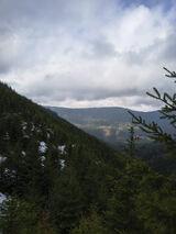 Zdjęcie użytkownika dd8006042