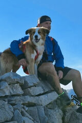 Zdjęcie użytkownika davidk