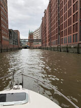 Foto utilizatorului wisar69