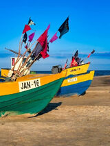 Fotos rborowiec0651975