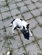 Zdjęcie użytkownika Maniek2332