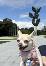 Фото користувача Kondzik66