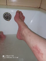 Zdjęcie użytkownika LeloLe