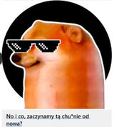 Foto utilizatorului mecenasoczko