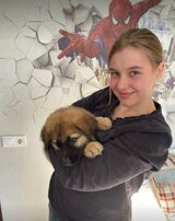 Zdjęcie użytkownika u0639242465