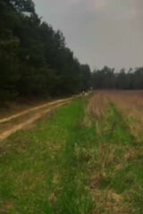 Zdjęcie użytkownika PlKomandos